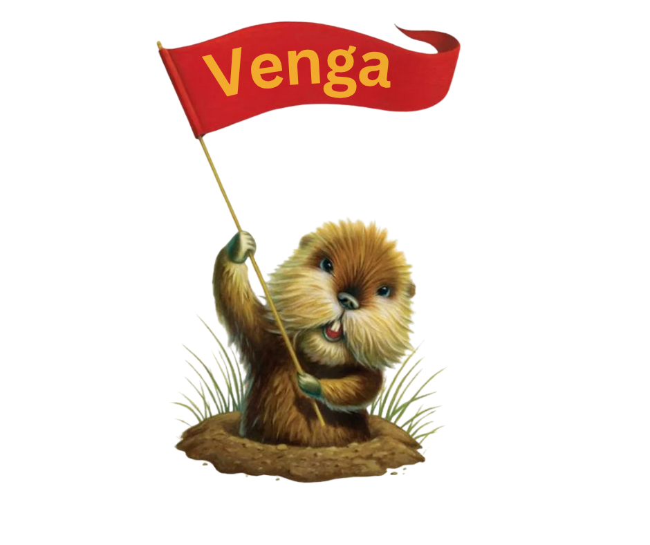 Venga Baby Boomber Website